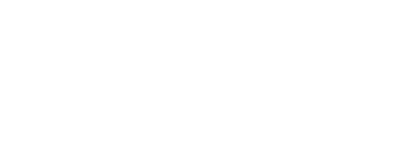 Insight Partners' logo