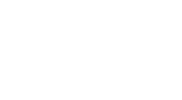 ThermalNetics logo